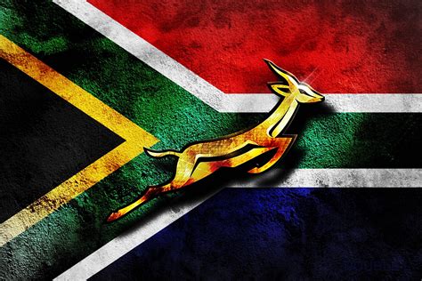 Springboks rugby south africa, South african flag, South africa rugby