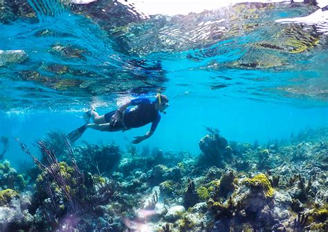 Snorkeling in Providenciales - Turks and Caicos Tourism Official Website