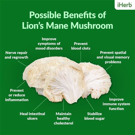 Lion’s Mane—Here Are 11 Researched Benefits of "the Brain Mushroom ...