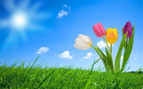 Lente Wallpapers | HD Wallpapers