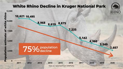 South Africa's Private Game Reserves Under More Pressure From Poaching ...