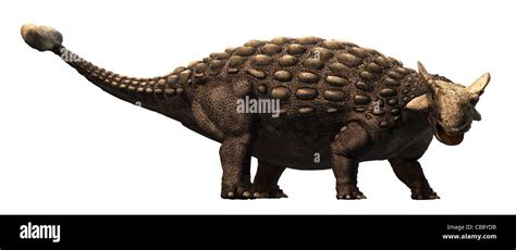 Ankylosaurus Stock Photo: 41379111 - Alamy