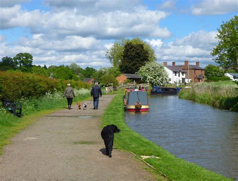 Whitchurch: country park dog walk | Dogs with -- or leading … | Flickr