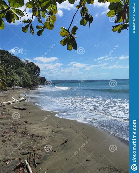 Panama tropical beach stock photo. Image of nature, sunset - 264982946