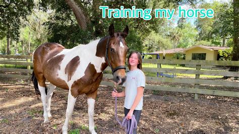 Training my horse how to be lunged. - YouTube