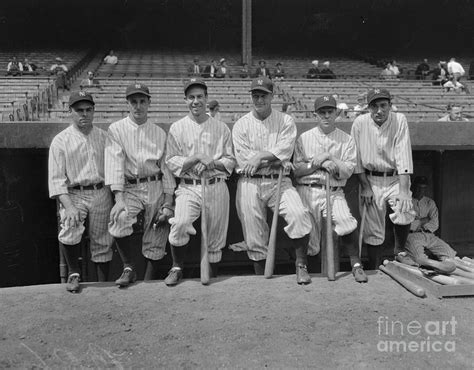 New York Yankees Baseball Stars by Bettmann