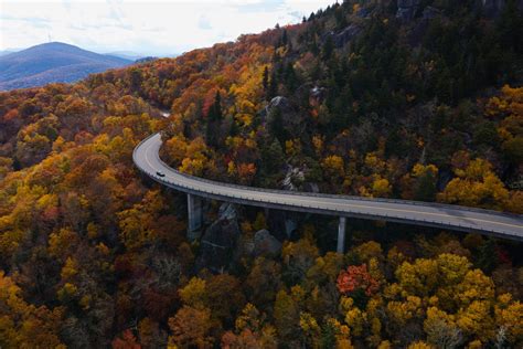 The Blue Ridge Parkway Road Trip Guide | Drivin' & Vibin'