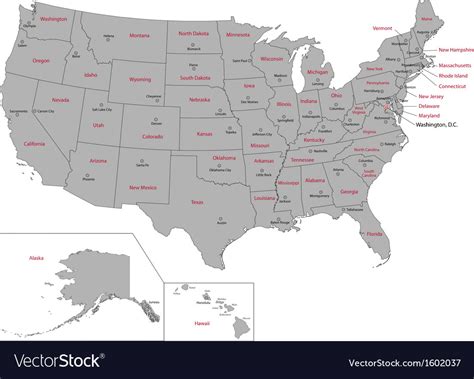 Gray usa map Royalty Free Vector Image - VectorStock