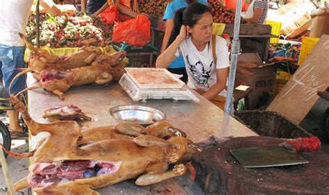 Yulin dog meat festival: Punters flock in droves to sick event in China ...