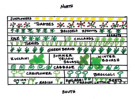 Seven tactics for planning next year’s garden - Backwoods Home Magazine