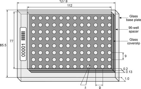 ロイヤリティフリー 96 Well Plate Dimensions - キムシネ