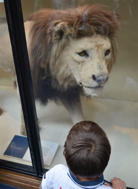 Best Free London Museums For Kids - We Go With Kids!