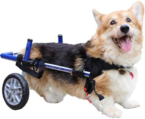 Walkin' Wheels Corgi Dog Wheelchair - Vet Approved - Small Dogs 18 - 40 ...