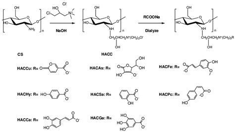 Scheme 1. Synthesis routes for chitosan derivatives. | Download ...