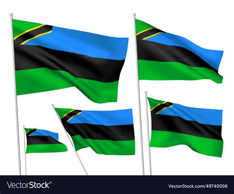 Flags of zanzibar Royalty Free Vector Image - VectorStock