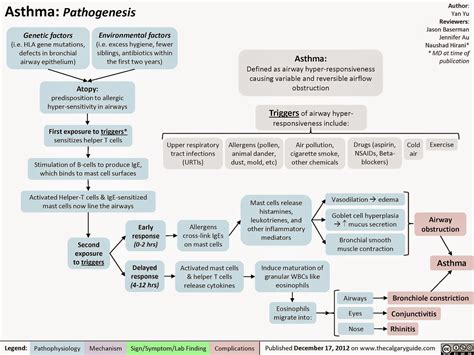 Adult Emergency Medicine: Asthma - Pathophysiology and Clinical Signs