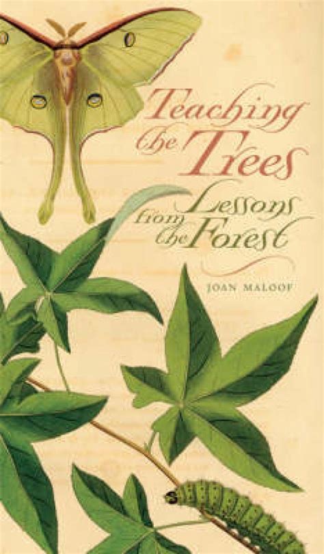 Teaching the Trees: Lessons from the Forest | NHBS Academic ...