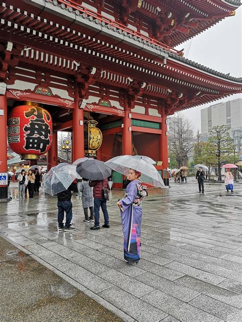 Asakusa Shrine. Photo taken 04/03/2019 : r/japanpics