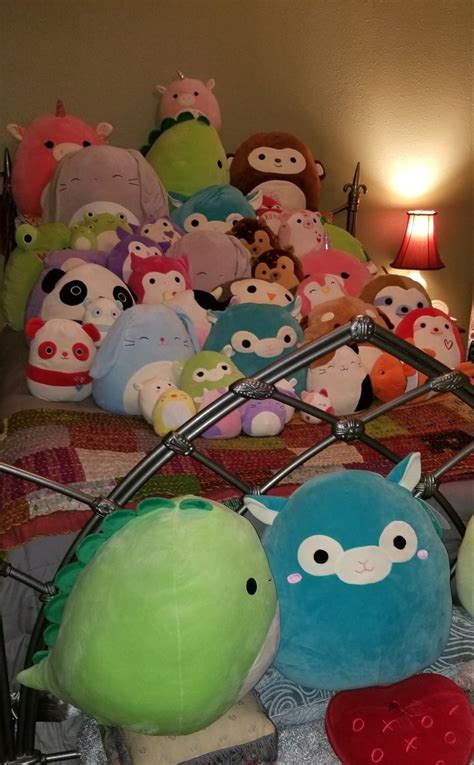 squishmallow claw machine locations - Karyl Rico