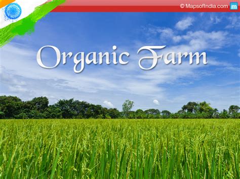 Organic farming in India - viable option or not ? - India