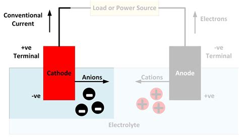 Cathode led positive or negative - bastatrain