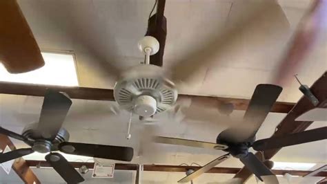 Gulf coast Riviera II ceiling fan - YouTube