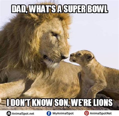 Lion Memes