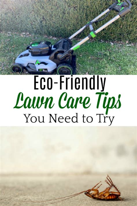 Eco-Friendly Lawn Care Tips You Need to Try - Green Oklahoma