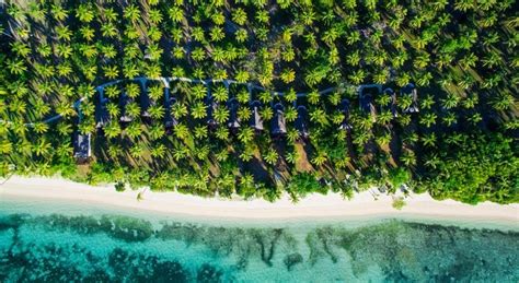 Lomani Island Resort - Seabeds Fiji