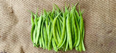 Guar bean fiber: What is it and why is it so good for gut health? | The ...