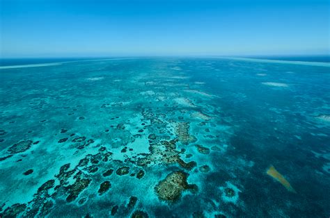 Belize Barrier Reef - Caribbean Culture and Lifestyle