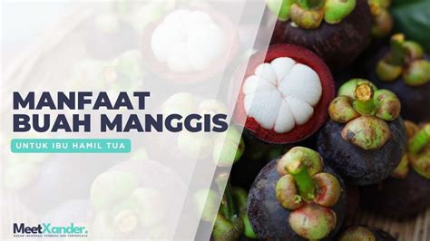 10 Manfaat Buah Manggis Untuk Ibu Hamil Tua Agar Sehat