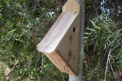 Finch Bird Houses Let's Get it Right | Birdcage Design Ideas