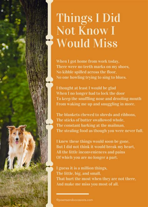 Poetry to Grieve the Loss of a Pet in 2021 | Pet loss poem, Pet loss ...