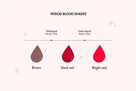 Why Is My Period Blood Brown? Dark Shades of Blood During Menstruation