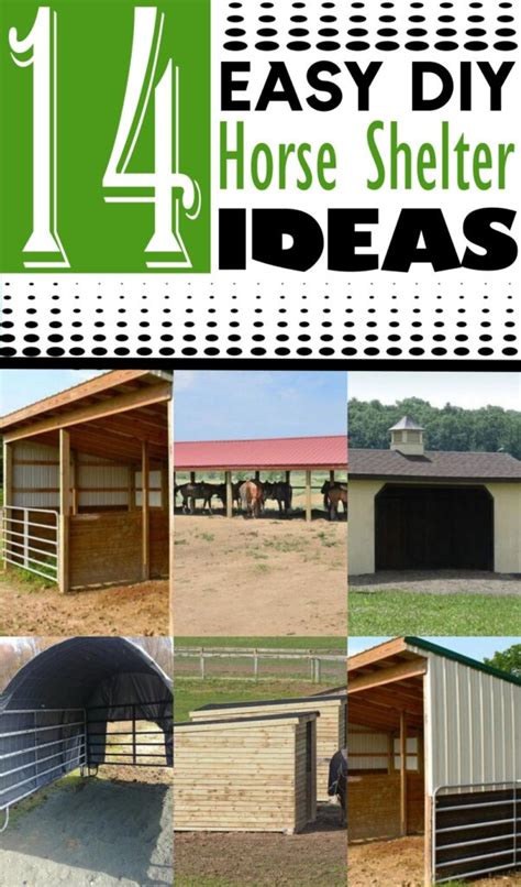 14 DIY Horse Shelter Ideas + Tutorials For Beginners (Easy!)