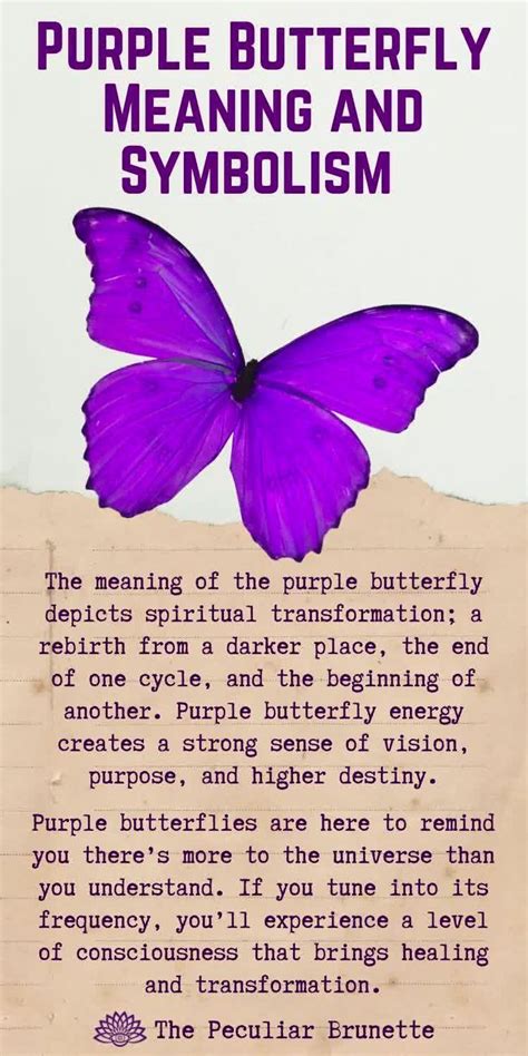 Purple Butterfly Meaning For Spiritual Inspiration [Video] in 2022 ...