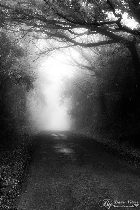 dark fog by *LinsenSchuss Haunted Halloween, Marcy, Downs, Haunting ...