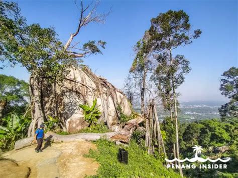 22 Great Seberang Perai Attractions to Visit in 2024 - Penang Insider