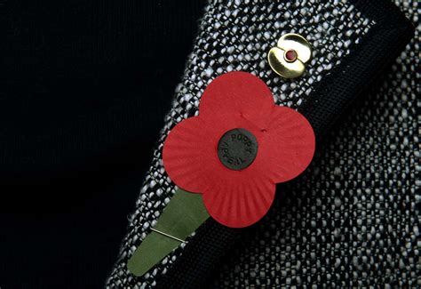 EXPLAINED: Why I wear a poppy badge crafted from a shell recovered from ...