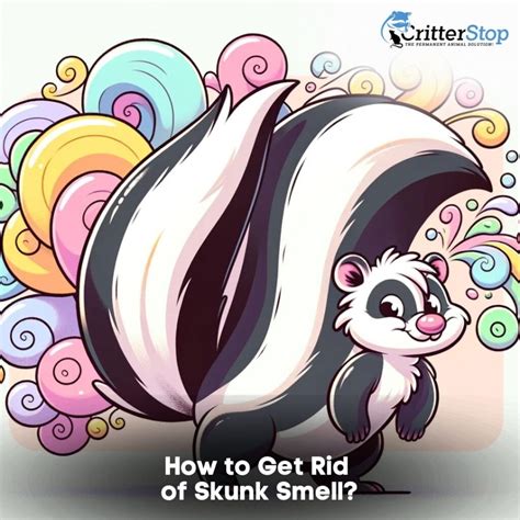 How to Get Rid of Skunk Smell? | Critter Stop