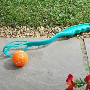 MiniPlay Small Ball Launcher - Cowell's Garden Centre | Woolsington