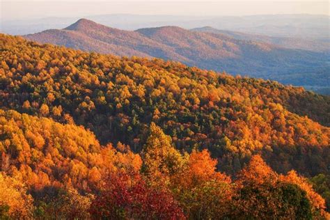 Shenandoah National Park Fall Foliage 2024 - Debbie Simonne