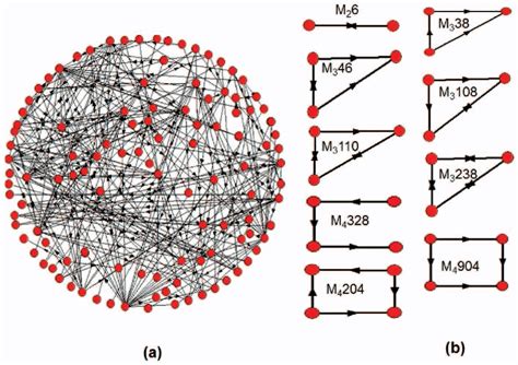 Figure 1 from Identification of Important Nodes in Directed Biological ...