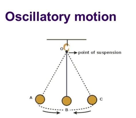 Vibrational Motion Examples