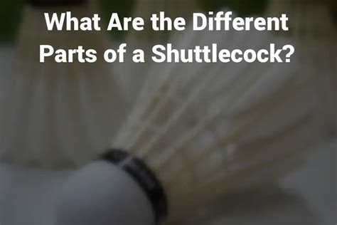 What Are the Different Parts of a Shuttlecock? - The Badminton Guide