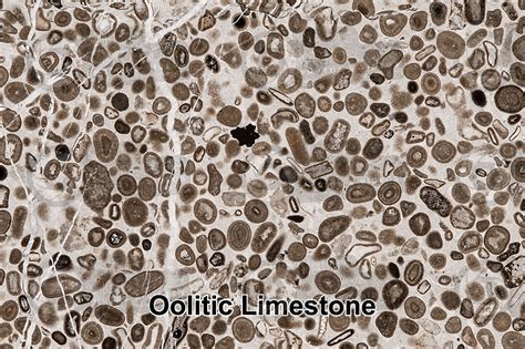 Oolitic Limestone. Thin section. 18X - Oolitic Limestone - Chemical ...