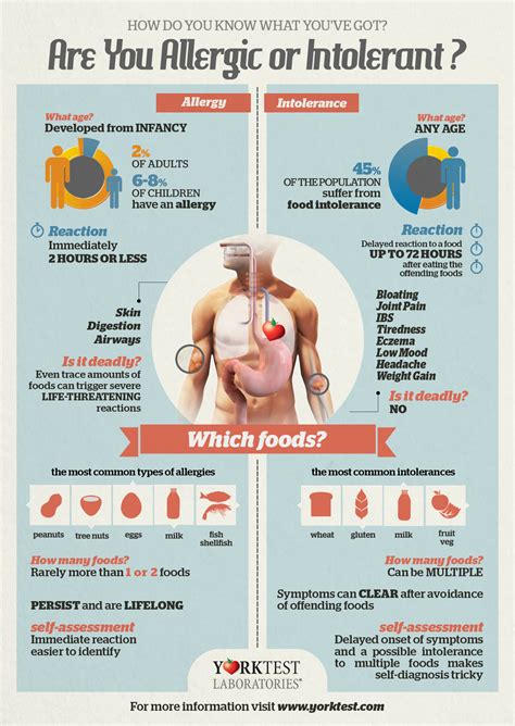 Food Allergies vs Food Intolerance: An Infographic