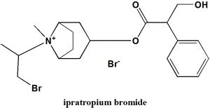 IPRATROPIUM BROMIDE Synthesis, SAR, MCQ,Structure,Chemical Properties ...