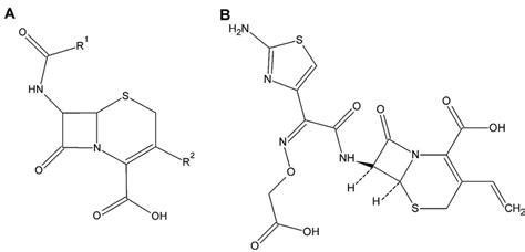 A) General chemical structure of cephalosporin, B) chemical structure ...